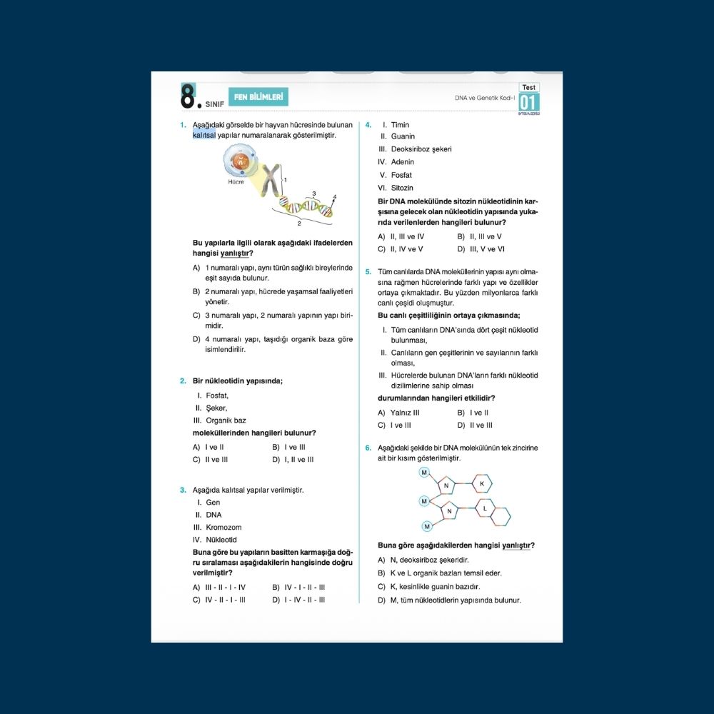 8. Sınıf Yaprak Testleri